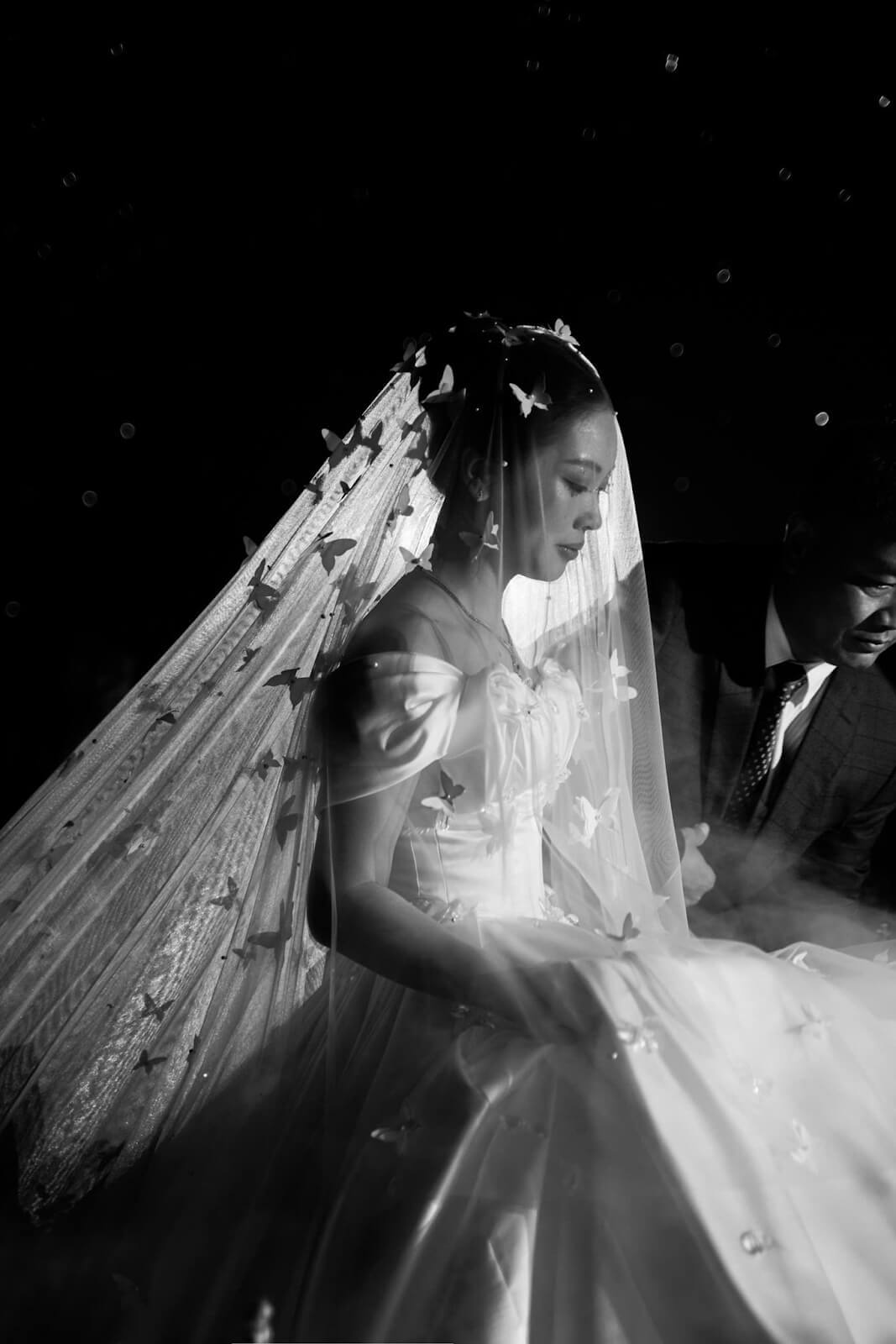 Nicole Bridal - buy premium veil 1