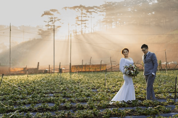 Wedding photo