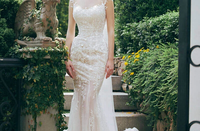 40+ of the most beautiful and elegant wedding dresses for the 2024 wedding season.