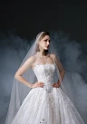 Ellen - 26LP209