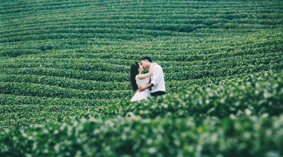 địa điểm chụp ảnh cưới đà lạt hình 11